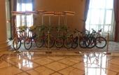 Туры в отель Harbin Sun Island Garden Hotel (Ice and Snow World)