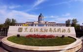 Туры в отель Harbin Sun Island Garden Hotel (Ice and Snow World)