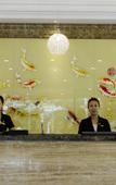 Туры в отель Hong Yun Dong Du Hotel