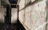 Туры в отель Bole Shi Shang Hotel