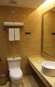 Туры в отель Vienna Hotel (Shenzhen Baoan Baotian Subway Station)
