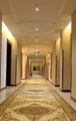 Туры в отель Vienna Hotel (Shenzhen Baoan Baotian Subway Station)