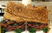 Туры в отель Dongyang Garden Hotel