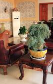 Туры в отель Nafei Hotel (Zhenjiang Dingmao Wuyue Square)