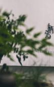 Туры в отель Hangzhou Chunyin Chunshan Hotel
