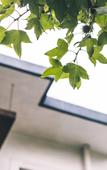 Туры в отель Hangzhou Chunyin Chunshan Hotel
