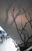 Туры в отель Hangzhou Chunyin Chunshan Hotel