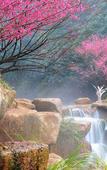 Туры в отель Lanjiang Hotel