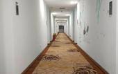 Туры в отель Qianlong Hotel