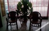 Туры в отель Shell Hotel (Aegean Sea shop  Old Street  Tai'an)