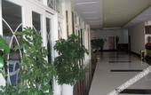 Туры в отель Shell Hotel (Aegean Sea shop  Old Street  Tai'an)