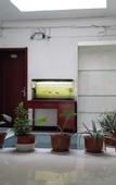 Туры в отель Xiaocheng Renjia Express Hotel