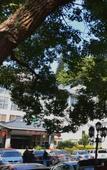 Туры в отель Fuzhou Juchunyuan Yushan Hotel