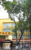 Туры в отель Ease Hotel (Zhongshan Lihe Plaza Zhongshan 2nd Road)