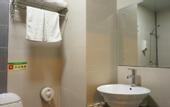 Туры в отель Rujing Business Hotel (Dongguan Songshan Lake Ecological Scenic Area Dalingshan Plaza)