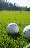 Туры в отель Phoenix Hill Hotel Dongguan (Golf Course Shop)