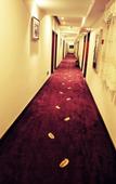 Туры в отель TIANZHENG HOTEL