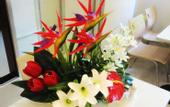 Туры в отель GreenTree Inn (Jiaxing Zhongshan West Road Laoyeche Building)