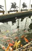 Туры в отель Jinda Business Hotel