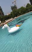 Туры в отель Perfect International Hotel