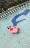 Туры в отель Perfect International Hotel