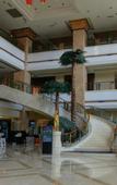 Туры в отель Perfect International Hotel