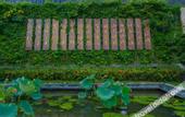 Туры в отель Zhuhai Jingyun Mountain Villa