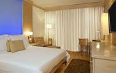 Туры в отель Le Meridien New Delhi
