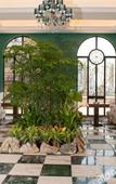 Туры в отель Frence Garden Hotel