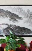 Туры в отель Qingyuan Boya Hotel
