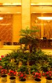 Туры в отель River & Holiday Rezen Hotel Pengshui