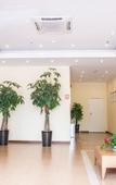 Туры в отель Homeinn Selected Hotel (Shaoxing East Station Wanhecheng)