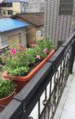 Туры в отель Miyuanju Farm House