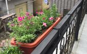 Туры в отель Miyuanju Farm House