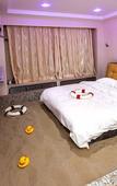 Туры в отель Ripple Hotel (Dalian Laodong Park Wuchang Street)