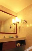 Туры в отель Discoveryland Hotel