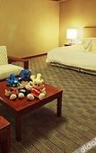 Туры в отель Discoveryland Hotel