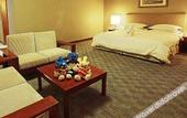 Туры в отель Discoveryland Hotel