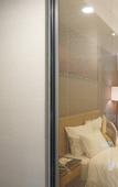 Туры в отель Treasure Island Hotel