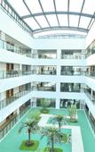 Туры в отель Treasure Island Hotel