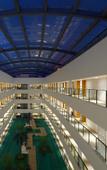 Туры в отель Treasure Island Hotel