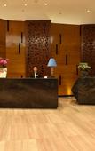 Туры в отель Treasure Island Hotel