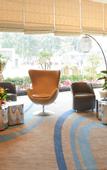 Туры в отель Treasure Island Hotel