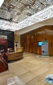 Туры в отель Treasure Island Hotel