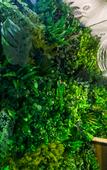 Туры в отель Floral Hotel·TongLi Water And Clouds Garden Boutique Hotel