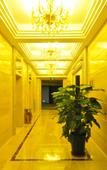 Туры в отель Dongfu Hotel (Guangzhou Huadu Plaza Cultural Tourism City)