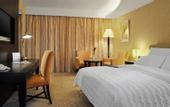 Туры в отель Le Meridien Pyramids