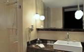 Туры в отель Le Meridien Pyramids