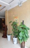 Туры в отель Xinghai Hotel