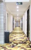 Туры в отель Lingnanchun Hotel(Wuyang Xincheng Store)